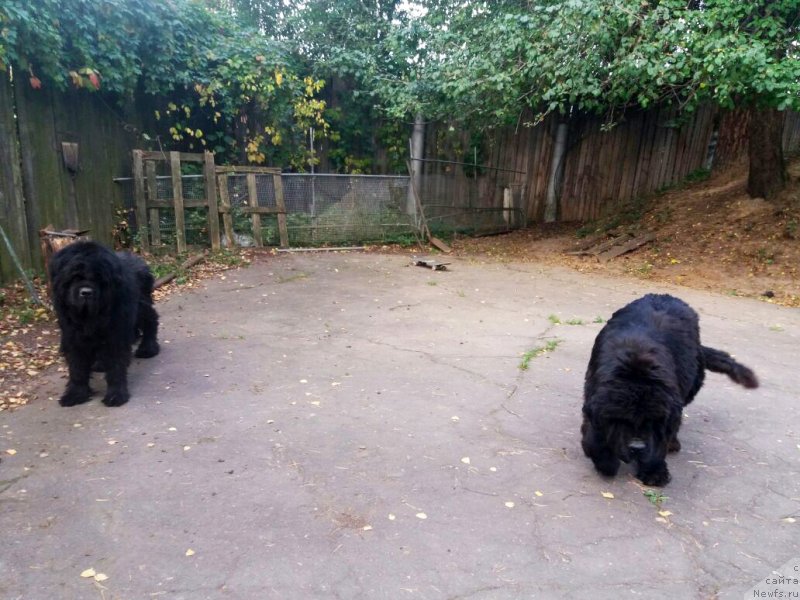 Фотография № 230339