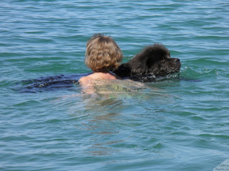 Фотография № 230434