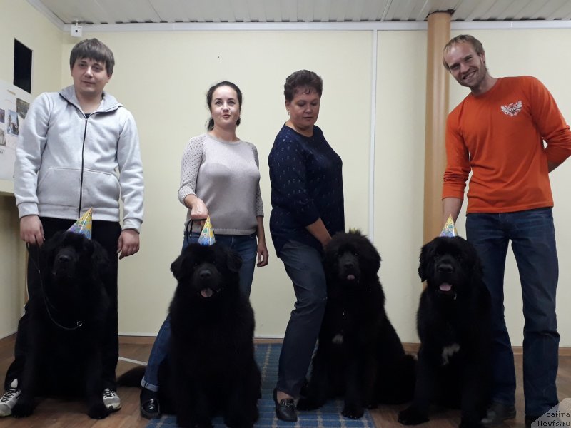 Фото: ньюфаундленд Черный Балу Лорд-Канцлер (Cherniy Balu Lord-Kantsler), ньюфаундленд Черный Балу Евита Леона, Татьяна Чернявская, ньюфаундленд Инвайтинг Лук оф Лав (Inviting Look of Love), ньюфаундленд Черный Балу Зазноба Души Моей