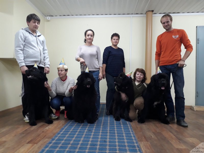 Фото: ньюфаундленд Черный Балу Лорд-Канцлер (Cherniy Balu Lord-Kantsler), ньюфаундленд Черный Балу Евита Леона, ньюфаундленд Инвайтинг Лук оф Лав (Inviting Look of Love), ньюфаундленд Черный Балу Зазноба Души Моей, Татьяна Чернявская