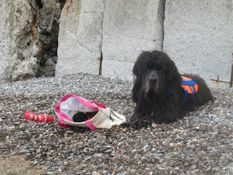 Фотография № 230452