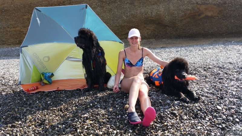 Фотография № 230491