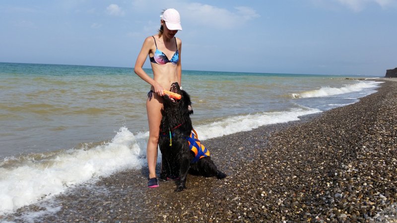 Фотография № 230492