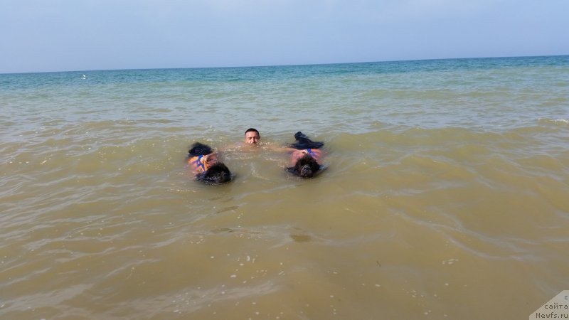 Фотография № 230497