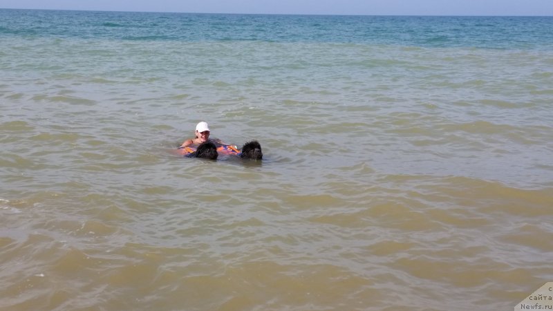 Фотография № 230500