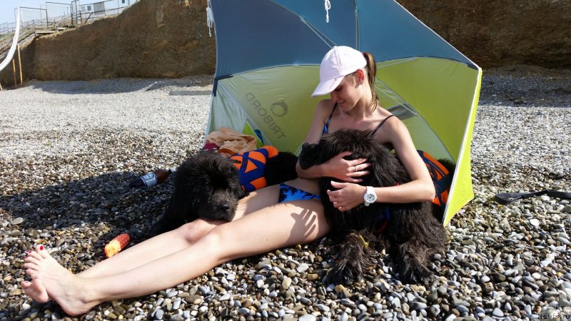 Фотография № 230503