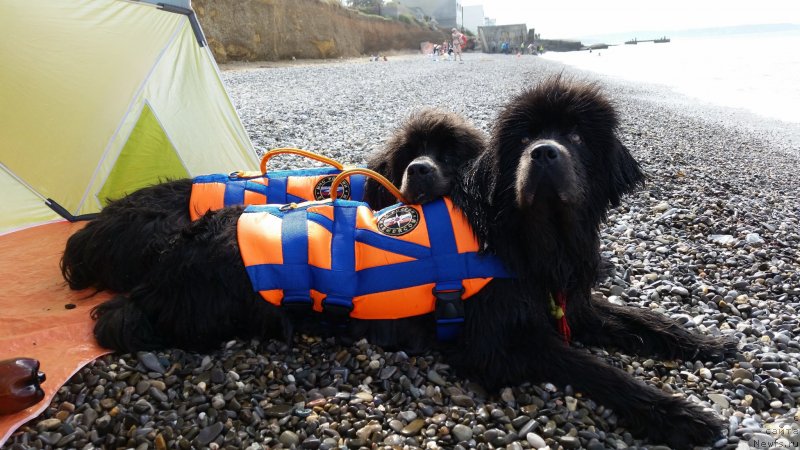 Фотография № 230506