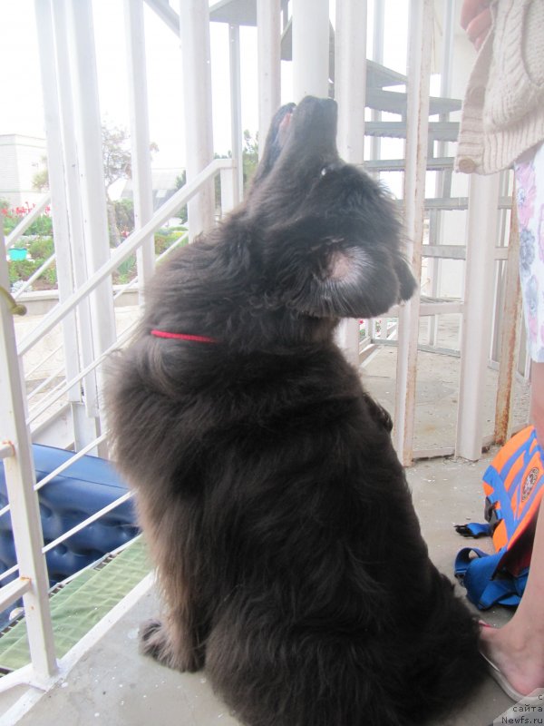 Фотография № 230522