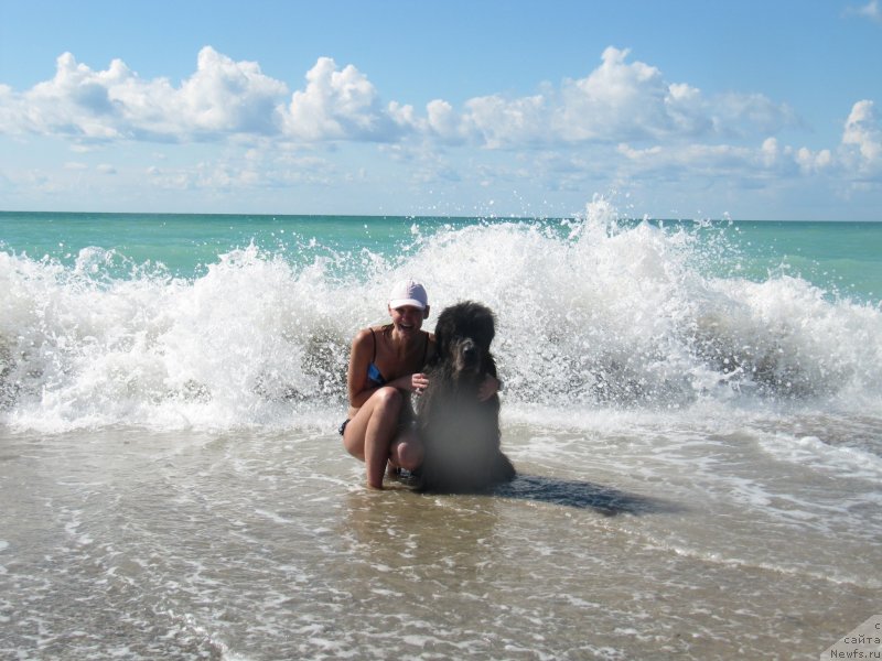 Фотография № 230524