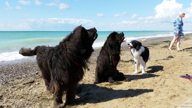 Фотография № 230529