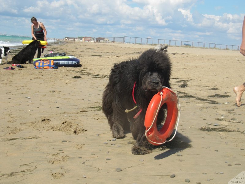 Фотография № 230532