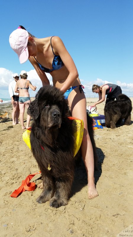 Фотография № 230536