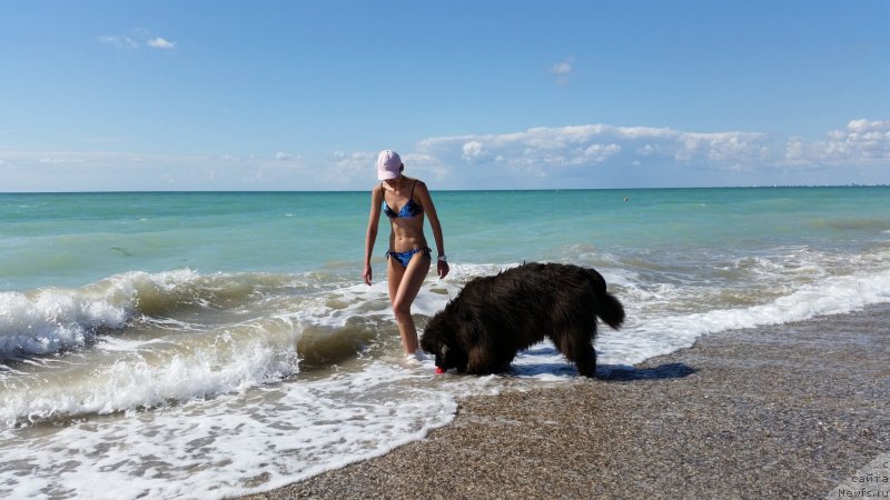 Фотография № 230543