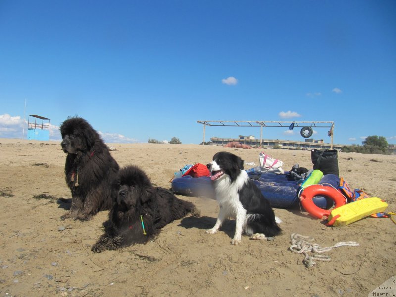 Фотография № 230546