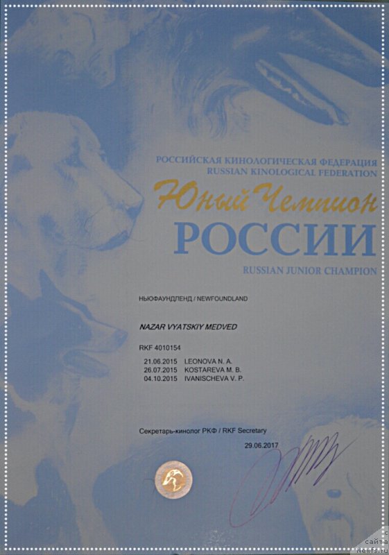 Фото: ньюфаундленд Назар Вятский Медведь (Nazar Vyatskiy Medved)