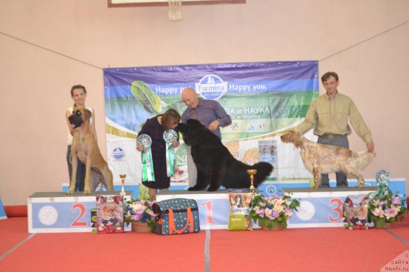 Фотография № 230579