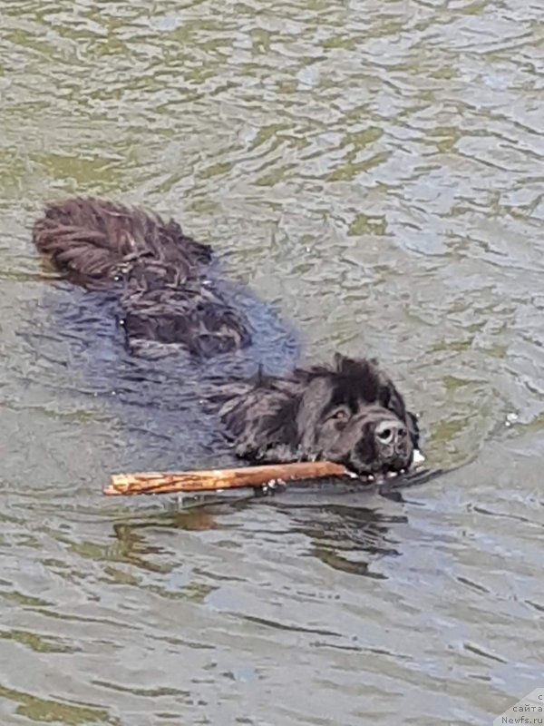 Фотография № 230602