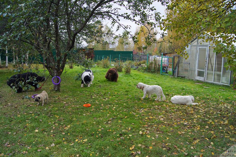 Фотография № 230609