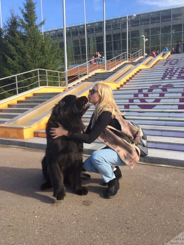 Фотография № 230642