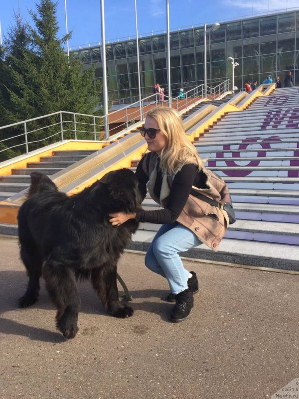 Фотография № 230643