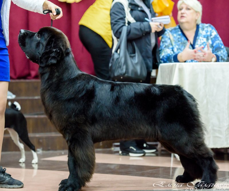 Фотография № 230647