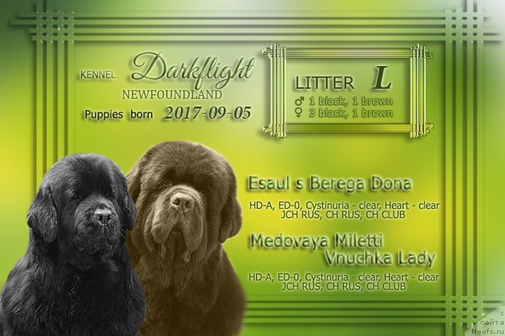 Фотография № 230651