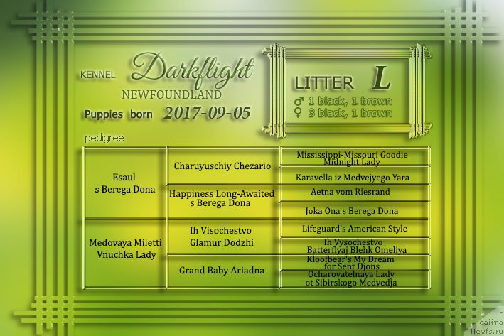 Фотография № 230652