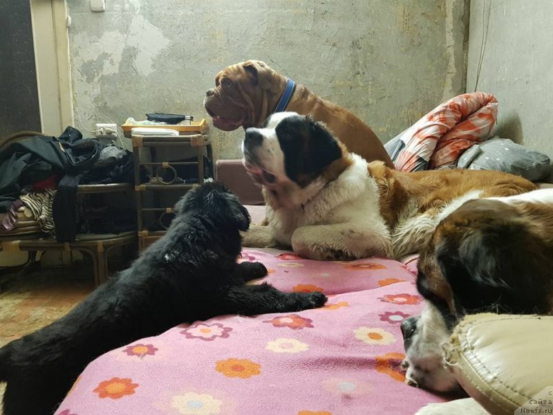 Фотография № 230654