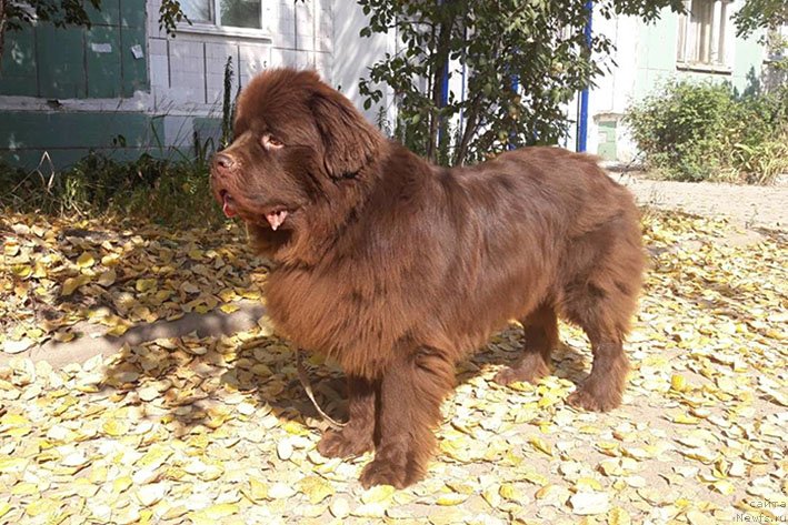 Фотография № 230659