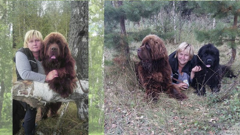 Фотография № 230660