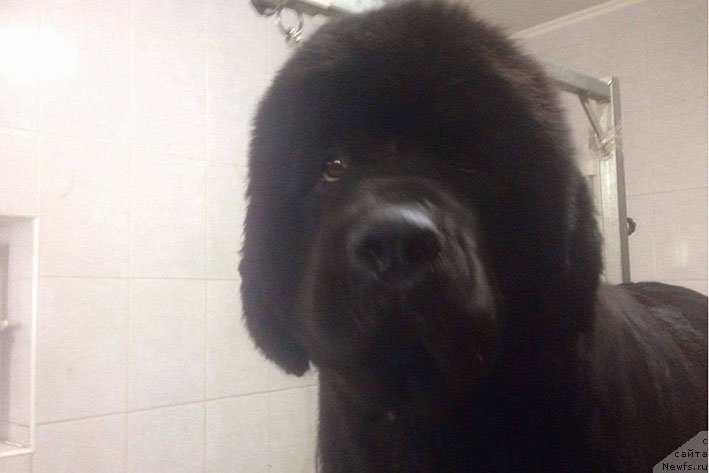 Фотография № 230661