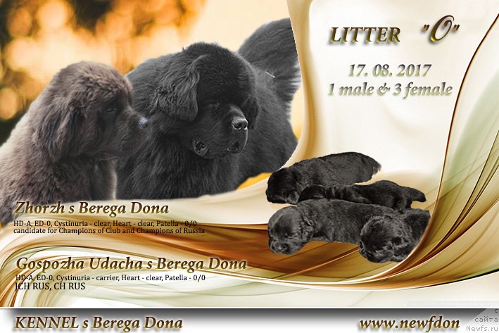 Фотография № 230683