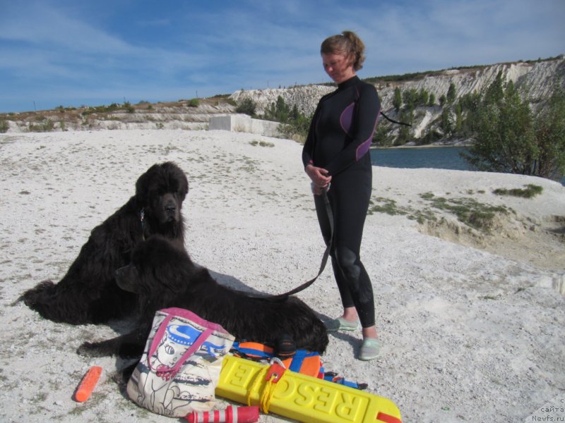 Фотография № 230736