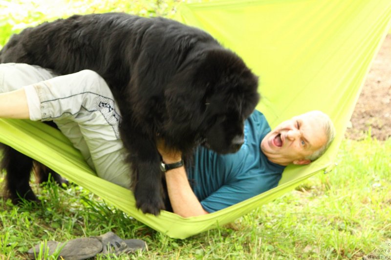 Фотография № 230744