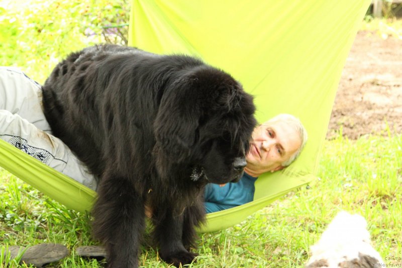 Фотография № 230745