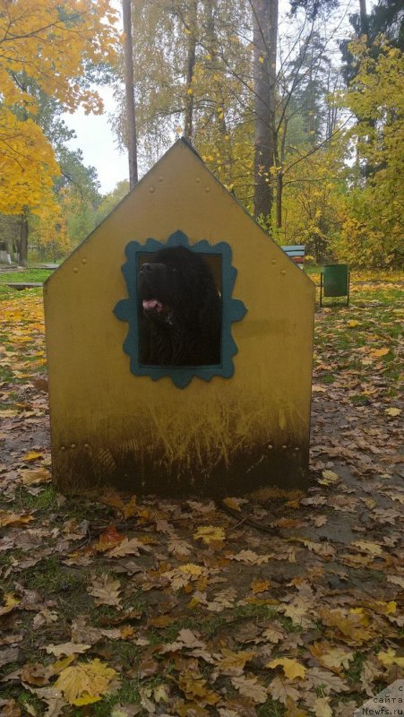 Фотография № 230751