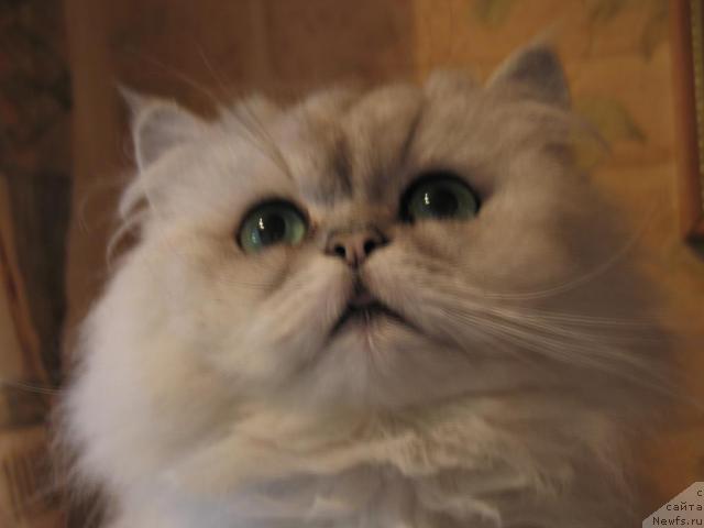 Фотография № 23078