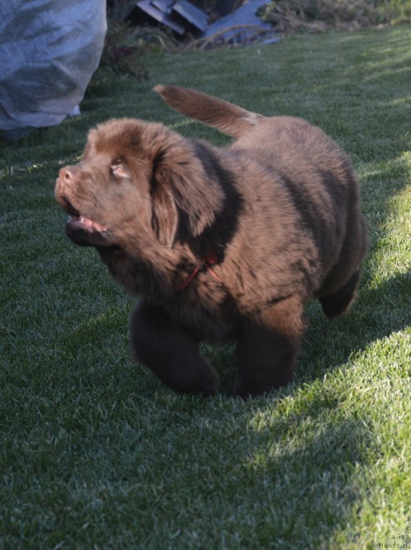 Фотография № 230804