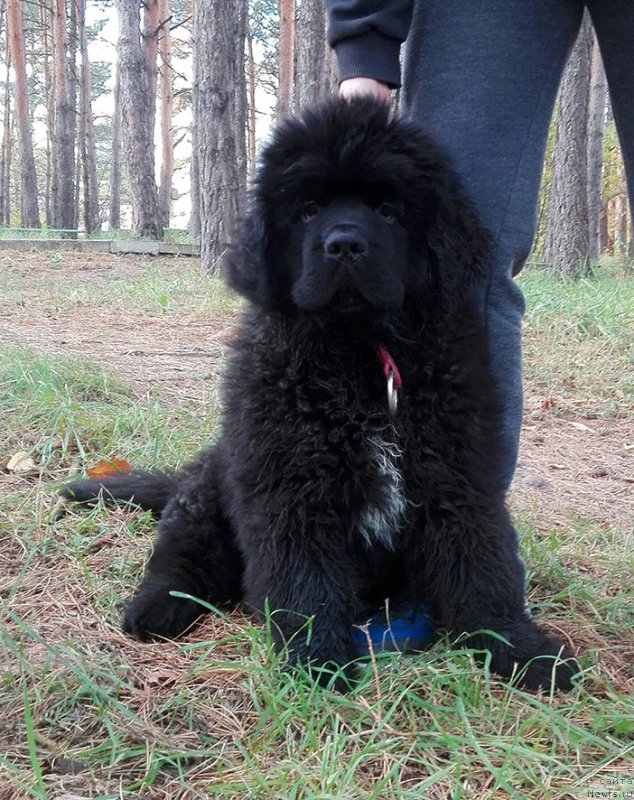 Фотография № 230840