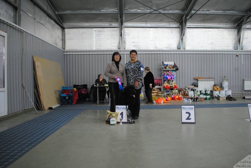 Фотография № 230841