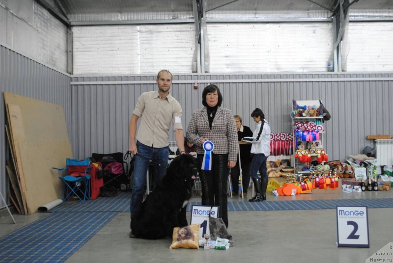 Фотография № 230842