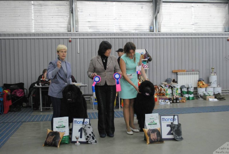 Фотография № 230843