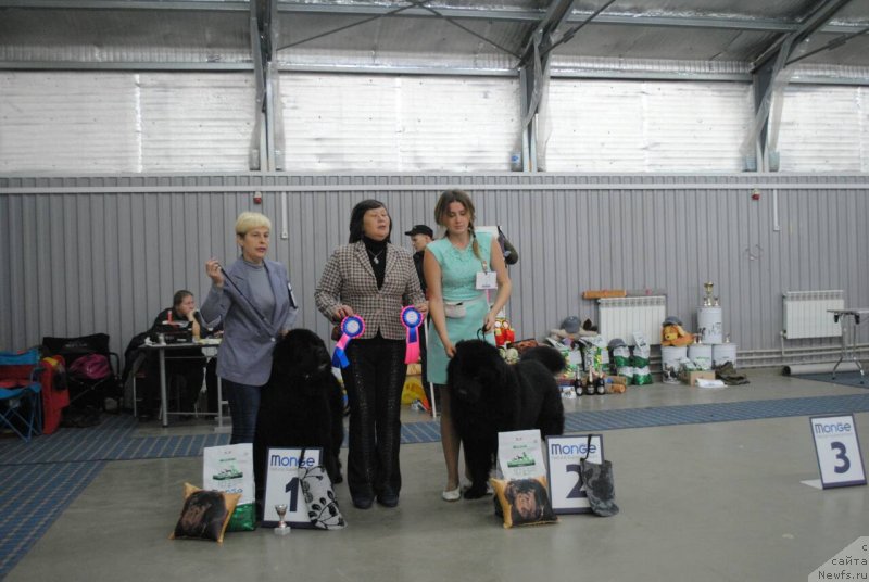 Фотография № 230844