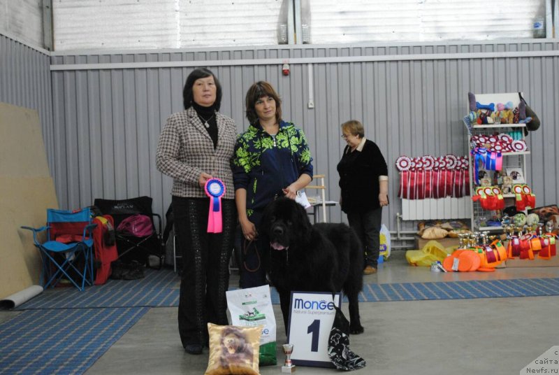 Фотография № 230845