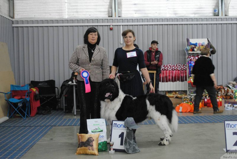 Фотография № 230846