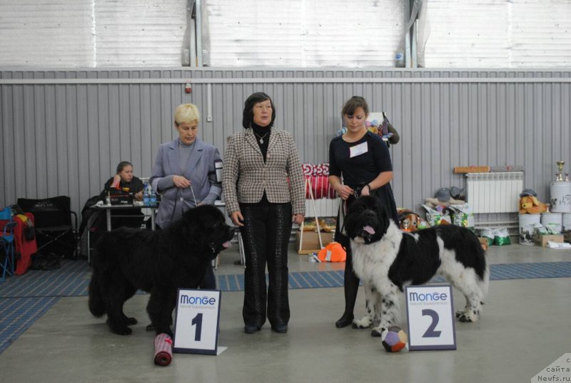 Фотография № 230847