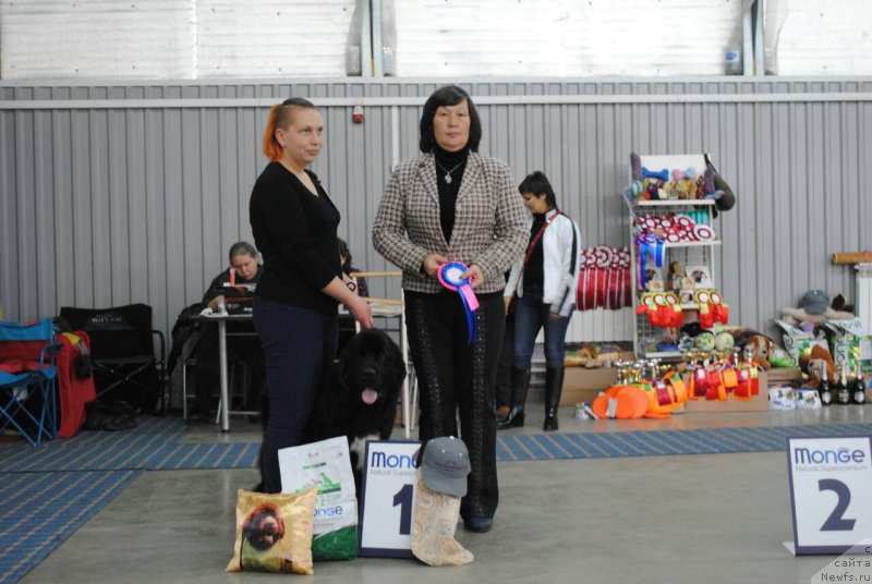 Фотография № 230848