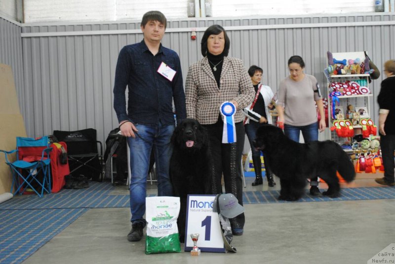 Фотография № 230849