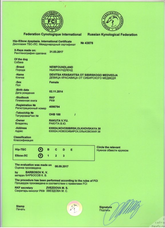 Фотография № 230886