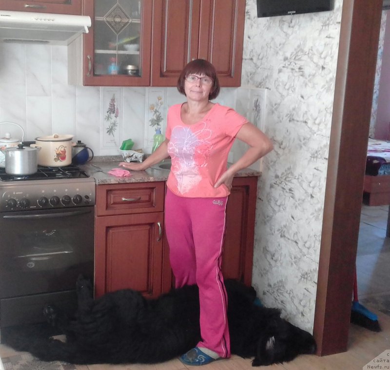 Фотография № 230894